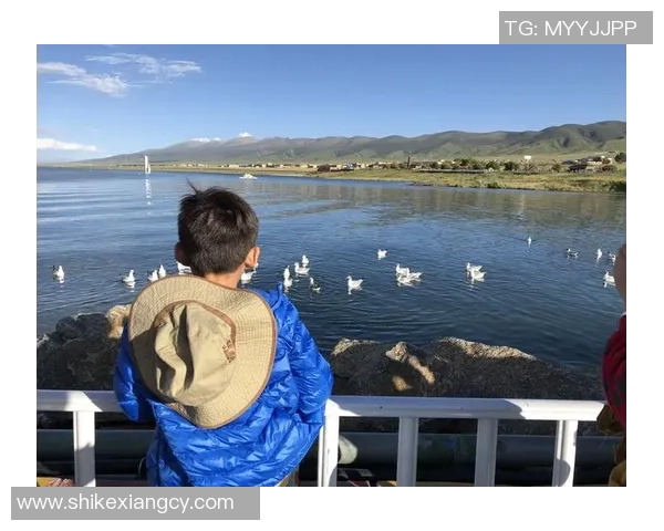 重庆排球队区域防守创新之路探索与实践分析